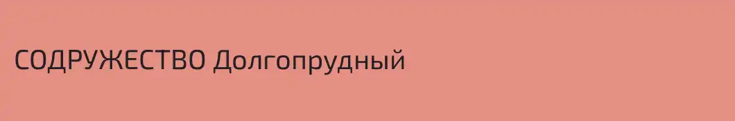 СОДРУЖЕСТВО Долгопрудный